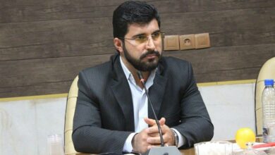 معتمدیزاده: مجلس با افزایش قیمت خودرو مخالف است