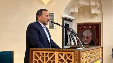 مقدمفر: سگ هار منطقه رو به اضمحلال است