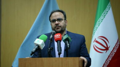 ممنوعیت صید کوسهماهیان در خلیج فارس و دریای عمان/ هیچ مجوز صیدی صادر نمیشود