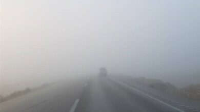 مه غلیظ دید افقی در بوشهر را به 50 متر کاهش داد