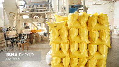 واردات برنج تعدیل قیمتها را به دنبال دارد؟