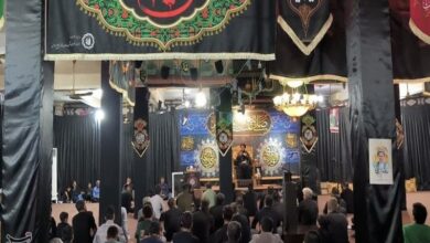 پیادهروی بزرگ فاطمی در جنوب استان بوشهر+تصویر