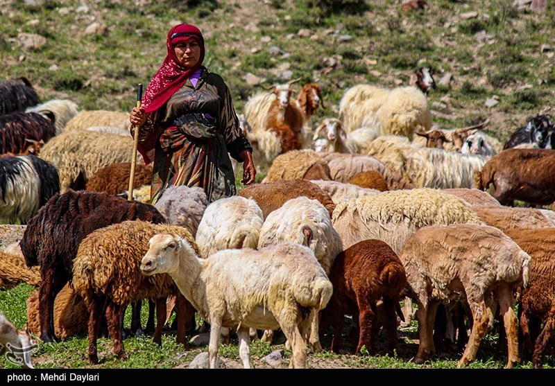 گفتوگو| چرا گردشگری عشایری مازندران در سایه است؟