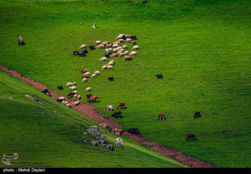 گفتوگو| چرا گردشگری عشایری مازندران در سایه است؟