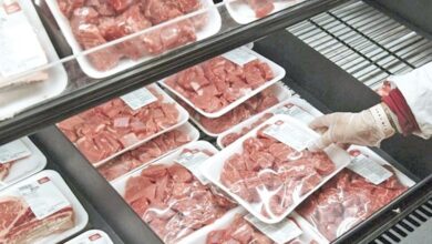 گوشت گرم تنظیم بازار در خراسان شمالی توزیع میشود+جزئیات