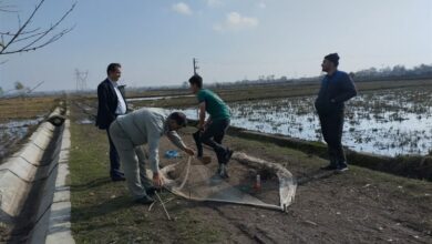 10 متخلف زندهگیری سهره در آستارا دستگیر شدند