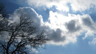 آخر هفته یلدایی مازندران با افزایش نسبی دما