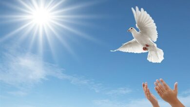 آزادی 2 زندانی غیرعمد بههمت دانشآموزان تبریزی