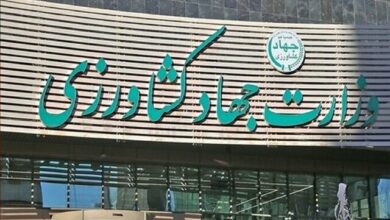 آمادگی وزارت جهاد کشاورزی برای واگذاری امور به بخش خصوصی