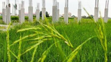 آمار بالای تغییر کاربری غیرمجاز در اراضی کشاورزی قم