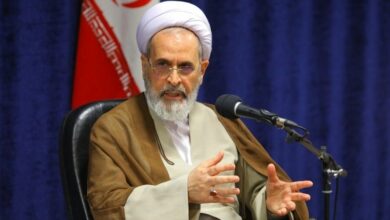 آیتالله اعرافی:قوانین محیط زیست نیاز به بازنگری وتقویت دارد