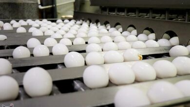 اجرای طرح اصلاح ساختار واحدهای مرغداری در قم