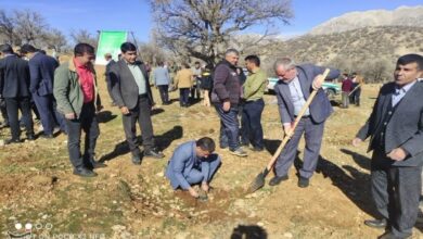 اجرای پویش درختکاری "در سایه مادر " + تصاویر