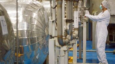 اختصاص منابع مالی جهت خرید کیک زرد در سال 1404