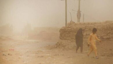 افرادی بدون شناخت برای مشکلات سیستان نسخه میپیچند