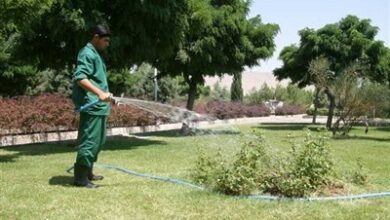 افزایش سرانه فضای سبز قم به 21 متر مربع