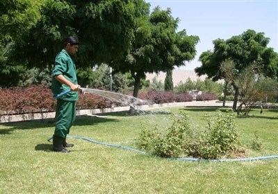 افزایش سرانه فضای سبز قم به 21 متر مربع