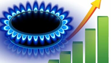 افزایش ۸۰ میلیون مترمکعبی مصرف گاز در بخش خانگی