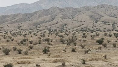 ایجاد 9000 هلالی آبگیر در دشت بوشکان دشتستان