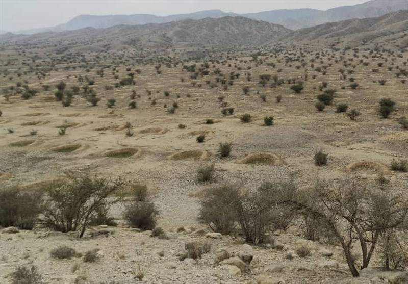 ایجاد 9000 هلالی آبگیر در دشت بوشکان دشتستان