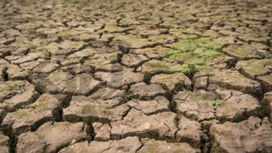 ایلام؛ رتبه اول فرسایش خاک در کشور را دارد