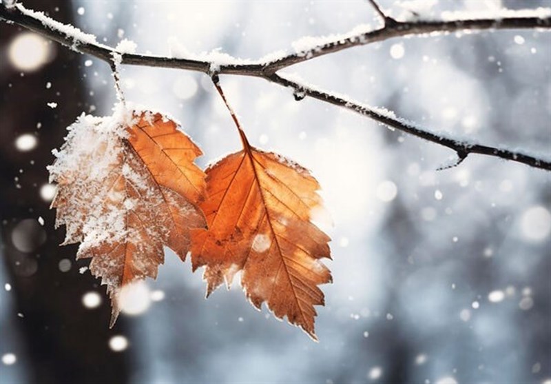 بارش برف از روز جمعه اردبیل را در بر میگیرد