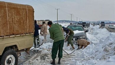 بارش برف در کاشان/ مسافران در راه مانده نجات شافتند