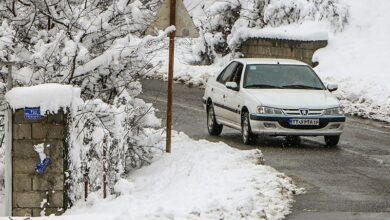 بارش برف مازندران را سفیدپوش کرد