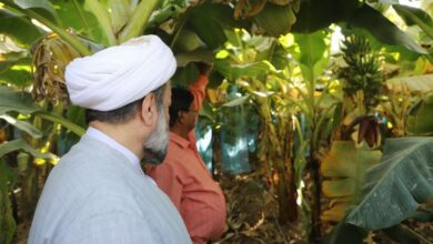 بازدید نماینده ولی فقیه از اراضی کشاورزی «باهوکلات»