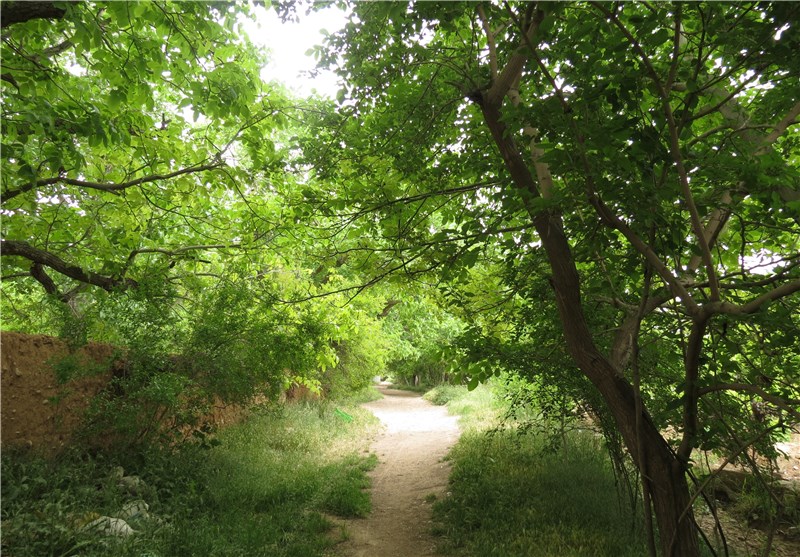 باغهای قصردشت با پساب تصفیهخانهها سیراب میشود