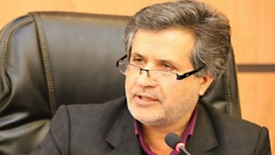 بخش دولتی و خصوصی در مواقع اضطرار کنار هم نیستند