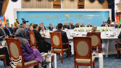 بدون آتشبس فاجعه انسانی عزه متوقف نمیشود