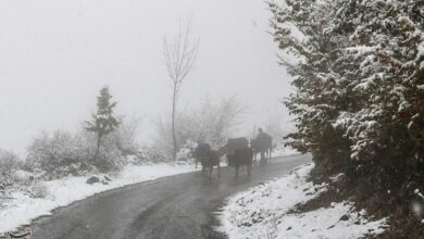 برق گلستان رفت بارش برف آغاز شد/ یخبندان در راه است+فیلم