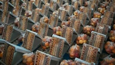 بسیج 1000 بسته معیشتی در جنوب بوشهر توزیع کرد