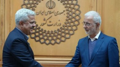 تأکید وزیر کشور بر اجرایی شدن موافقتنامه امنیتی دو کشور