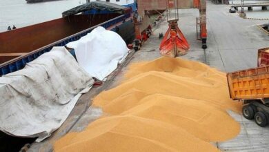 تخلیه کشتی 26 هزار تنی گندم وارداتی در بندر بوشهر