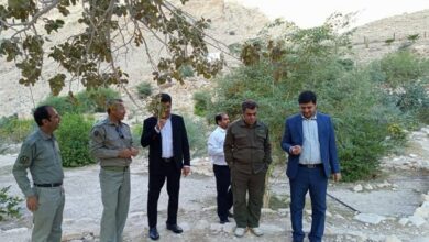 تدوین برنامه مقابله با شکار غیرمجاز در دشتی