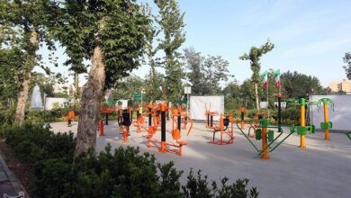 تمامی 400 بوستان سطح شهر قم از لحاظ ایمنی، استاندارد است