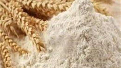 توزیع آرد بین عشایر و روستاییان مازندران هوشمند شد