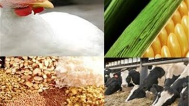 _تولید_ _اقتصادی_ _کشور_ _نیاز_ _به_ _افزایش_ _مکانیزاسیون_ _دارد_