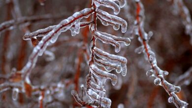 ثبت 24- درجه زیر صفر در فرودگاه زنجان