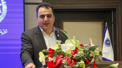 جایگاه فرش در چهارمحال و بختیاری باید احیا شود