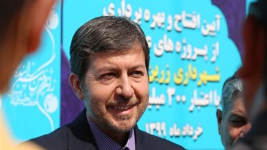 جمالینژاد: فارغالتحصیلان بیکارند/ به پویش پزشکیان پیوستم