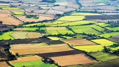 حدنگاری 850 هزار هکتار از اراضی همدان/صدور 17 هزار سند+فیلم