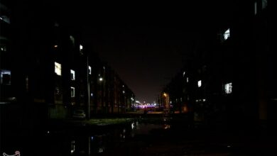 خاموشی گرگان در سرمای زیر صفر + فیلم