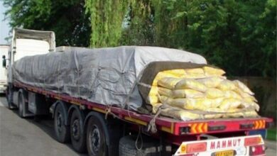 دپوی یک تن برنج قاچاق در فریدونشهر