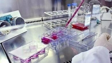 راهاندازی 30 آزمایشگاه همکار استاندارد در بوشهر