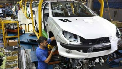 رستمی: رئیس جمهور یک نماینده ویژه در صنعت خودرو معرفی کند