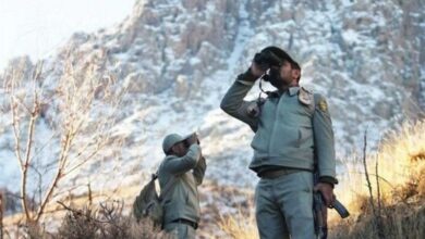 سرشماری پاییزه حیاتوحش در 322هزار هکتار از مناطق لرستان