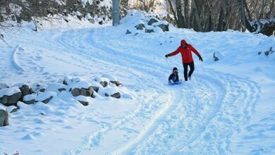 سرمای منفی 10 درجه سانتیگراد به جان تبریز نشست